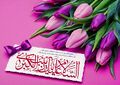 تصویر بندانگشتی از نسخهٔ مورخ ‏۱۱ ژانویهٔ ۲۰۲۴، ساعت ۰۲:۵۹