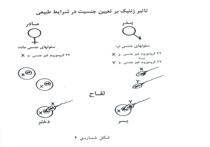 پرونده:تصویر.png