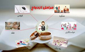 مراحل ازدواج.JPG