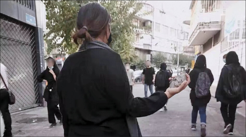 پرونده:Image4509.png