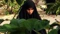 تصویر بندانگشتی از نسخهٔ مورخ ‏۱۱ ژانویهٔ ۲۰۲۴، ساعت ۰۳:۰۰
