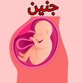 تصویر بندانگشتی از نسخهٔ مورخ ‏۱۱ ژانویهٔ ۲۰۲۴، ساعت ۰۳:۰۱