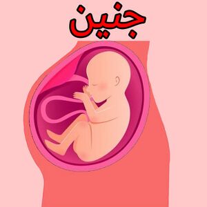 جنین2.JPG