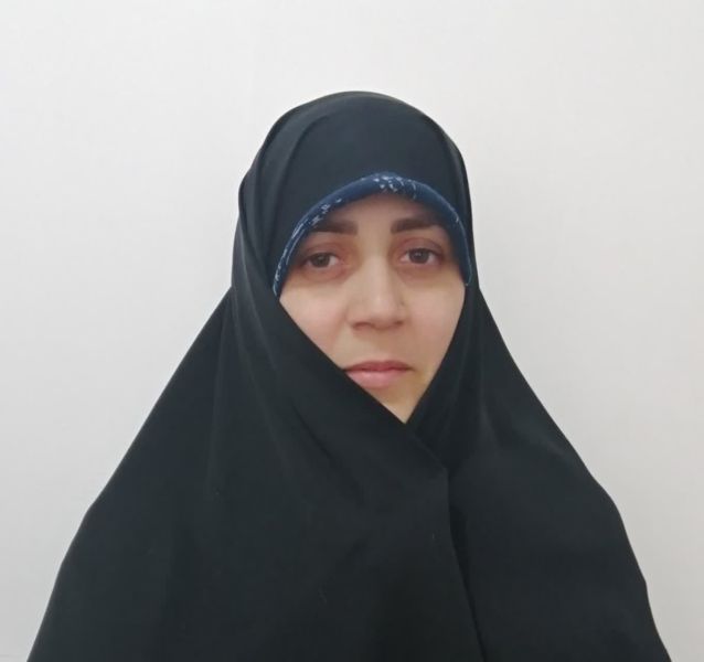 پرونده:میر علی ملک.jpg